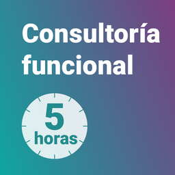 Consultoría funcional 5h