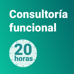 Consultoría funcional 20h